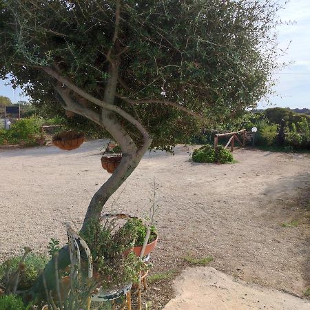 Casa Eroma Panzió Cuili Issi Kültér fotó