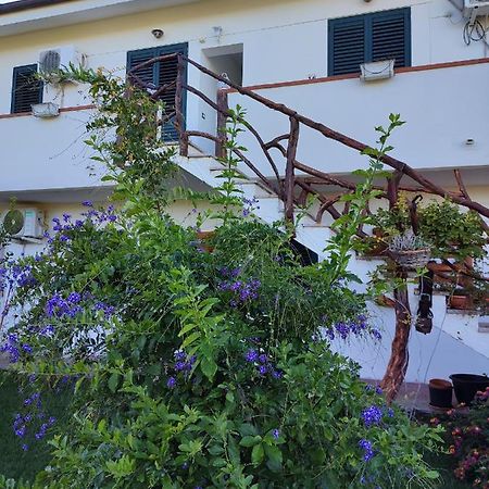 Casa Eroma Panzió Cuili Issi Kültér fotó